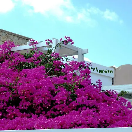 Hotel Bougainvillea 3*