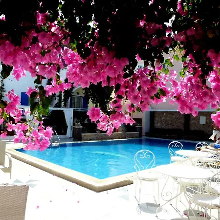 Hotel Bougainvillea
