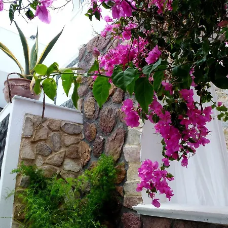 Bougainvillea 3* Kamari (Santorini)
