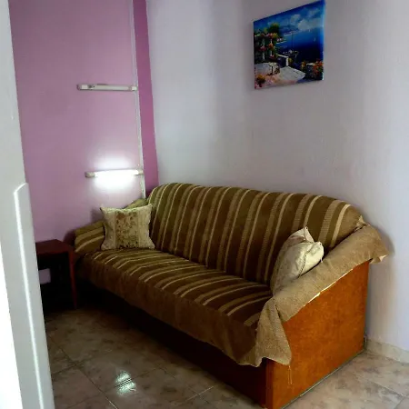 Bougainvillea 3*