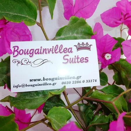 Hotel Bougainvillea 3*