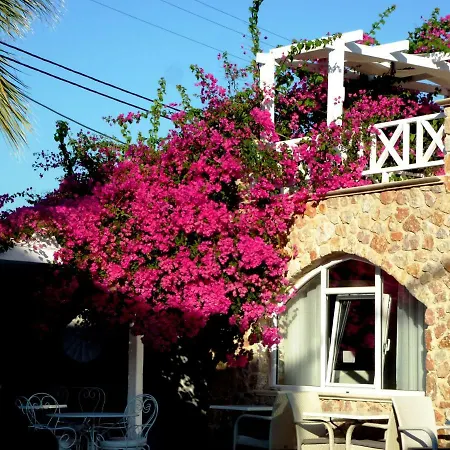 Hotel Bougainvillea 3*