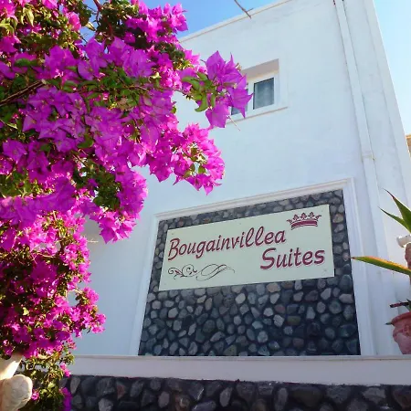 Bougainvillea