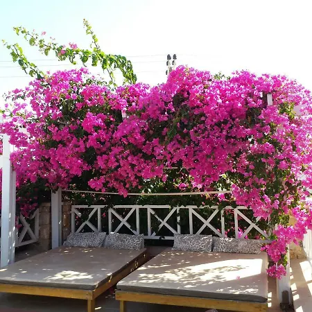 Bougainvillea Kamari (Santorini)